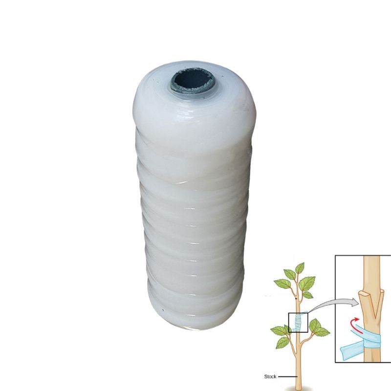 product 8000 (2)