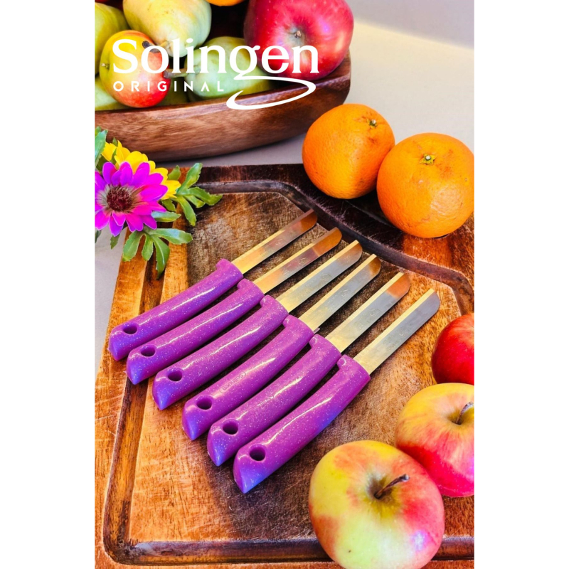 ست-۶-عددی-چاقوی-میوه--سبزی-زولینگن-1747411082-1