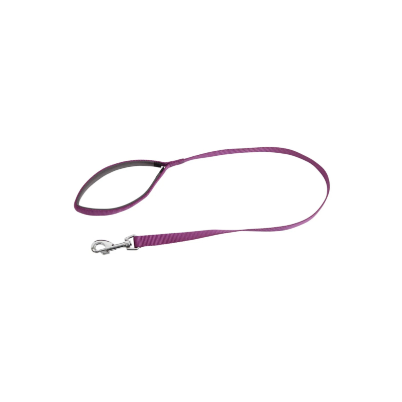 بند-بنفش-سگ-1764057718-1