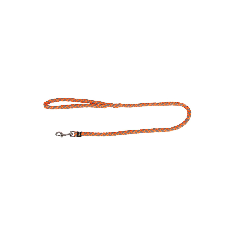 بند-رفلکتوری-سگ-1764057416-1