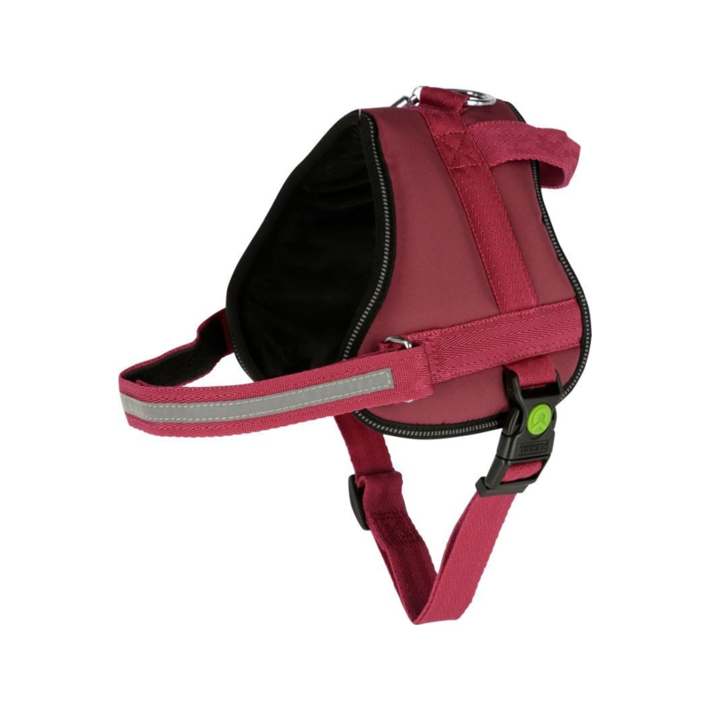 قلاده-کمری-سگ-1764056582-1