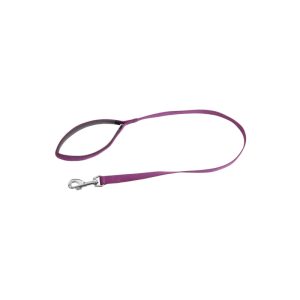 بند-بنفش-سگ-1764057718-1