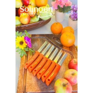 ست-۶-عددی-چاقوی-میوه-و-سبزی-زولینگن-1747410620-1