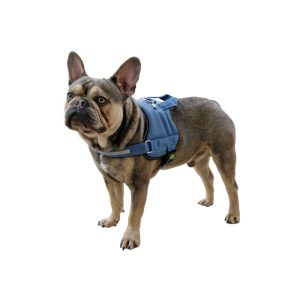 قلاده-سگ-Kerbl-1764056072-1