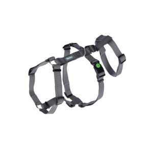 قلاده-پشتی-ضد-فرار-XS-کربل-1757247015-1