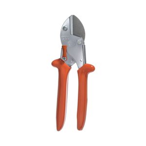 لووه-قیچی-۵۱۰۴-1752938054-1