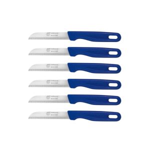 کارد-میوه‌خوری-۶-عددی-زولینگن-1753546916-1