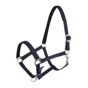 یَلار-کامل-اسب-کربل-1757247155-1